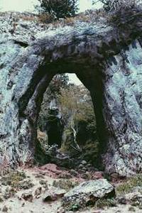 香肠派对框架苹果版