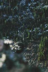 苹果版dt小听
