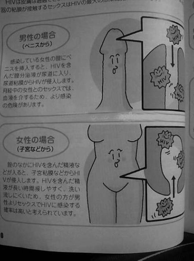 小黄书安卓版七猫小说旧版下载安装-第1张图片-太平洋在线下载