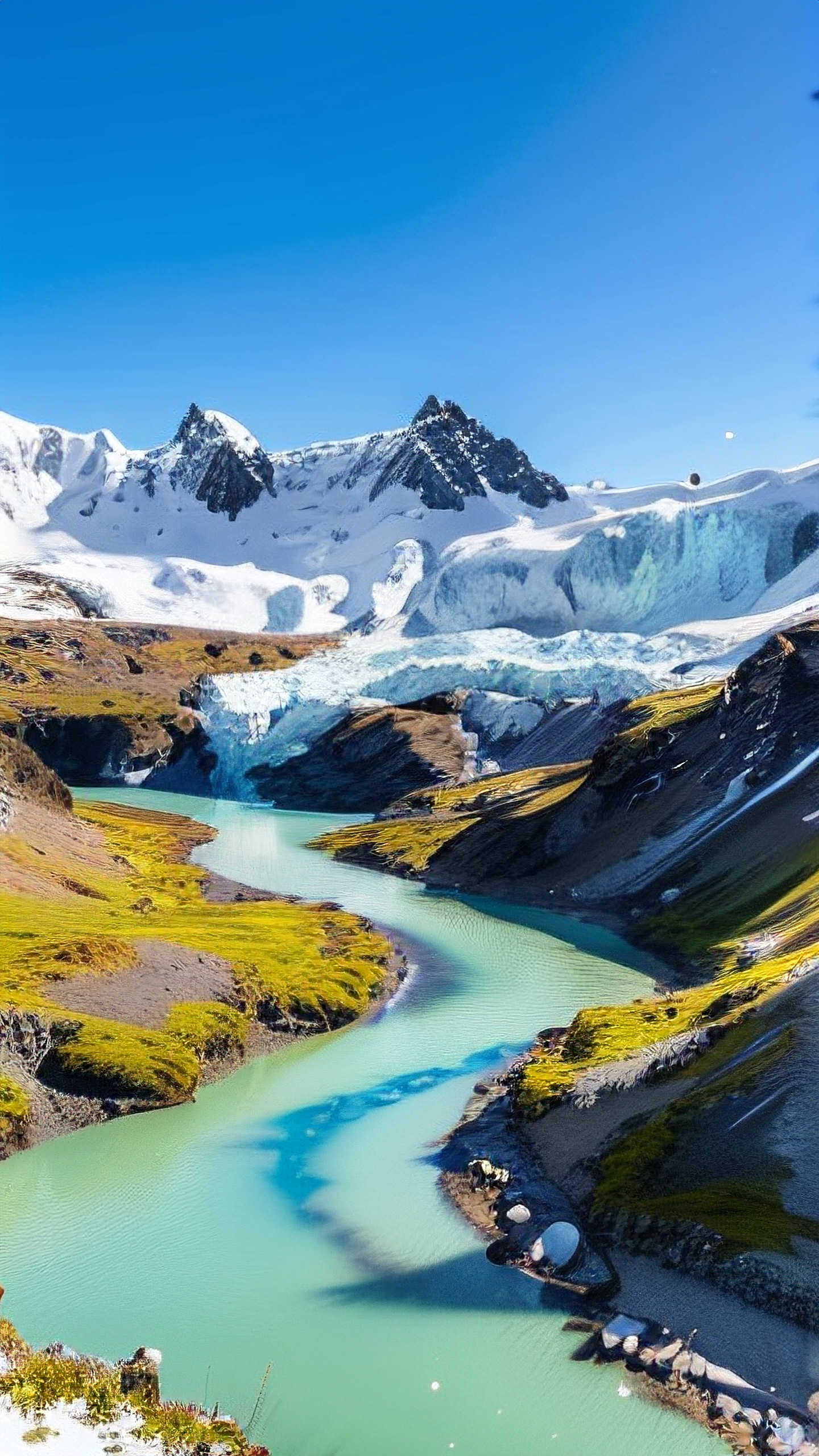 冰川客户端手机版最新(冰川客户端手机版最新下载)