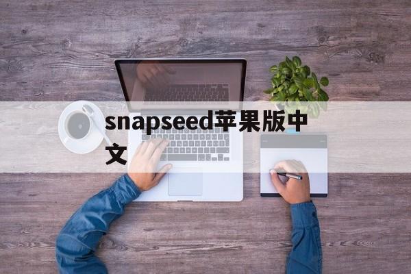 snapseed苹果版中文(snapseed中文版最新版本)-第3张图片-QuickQ官网