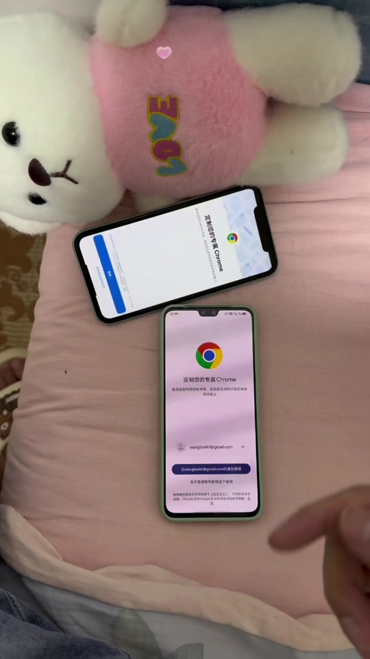 手机版谷歌访问助手(谷歌访问助手在手机上怎么使用)-第5张图片-QuickQ官网