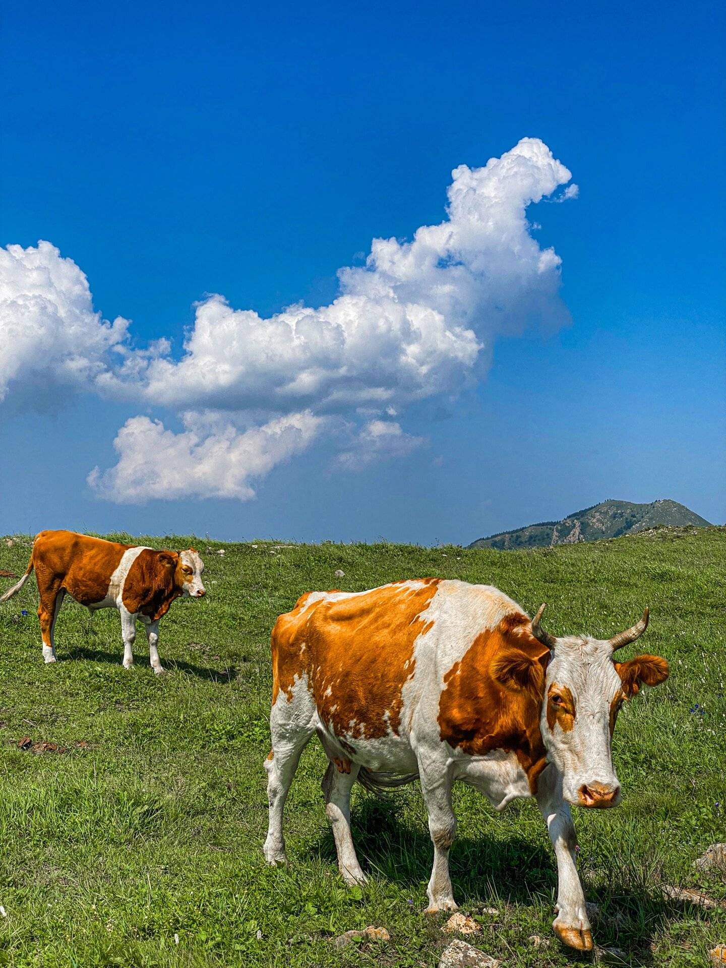 纳牛有手机版吗(河南纳牛新材料科技有限公司)-第1张图片-QuickQ官网