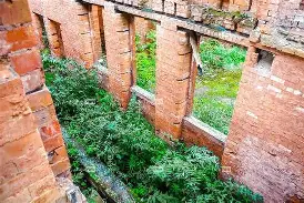 僵尸突击2疯人院安卓版(僵尸危机3手机版下载安卓)-第2张图片-QuickQ官网